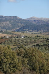 Naklejka premium View of Ronda in spring, Andalucia, Spain