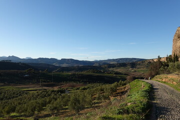 Naklejka premium View of Ronda, Andalucia Spain