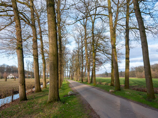 Fototapeta premium country road at sandenburg in dutch province of utrecht