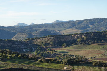 Naklejka premium View of Ronda, Andalucia Spain