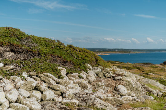 Detailed view of rocky shoreline with white lichen covered stones and coastal shrubs in Frilles&aring;s, Sweden
