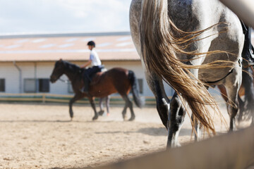 Horse riding school. Little children girls at group training equestrian lessons at outdoors ranch...