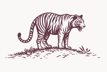 Tiger - wild animals, vector design of tigers isolated on white background