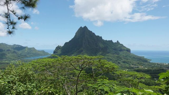 View of mountains, Mount Rotui, forest a lagoon and the ocean from a viewpoint in a tropical pacific island on a sunny day in Three Pines Lookout, Moorea, French Polynesia.