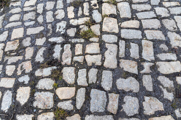 Stone road for quad bike in autumn forest. Poland.