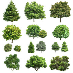 Collection of Diverse Green Trees and Foliage Isolated on White