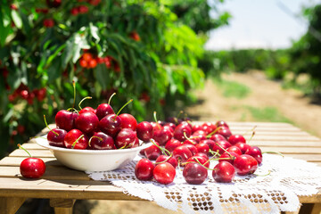 White bowl filled with ripe cherries