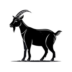 goat on white background