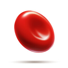 A vector of a smooth, glossy red blood cell in a realistic style, isolated on a white background.