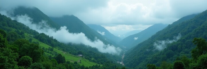 Naklejka premium Misty mountains shrouded in rain, lush valley , wet, nature, weather