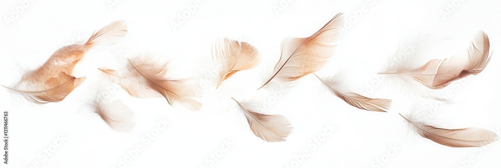 Aufkleber soft feathers float gracefully in a dreamlike composition against a serene white background showcasi