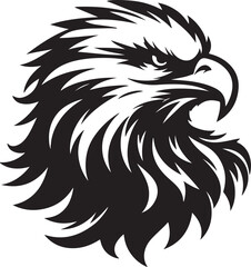 Eagle  picture in white background