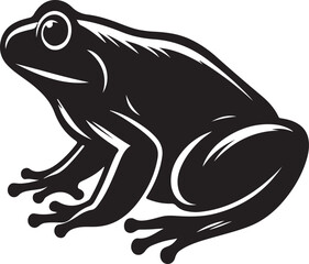 Frog  picture in white background
