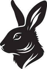 rabit picture in white background