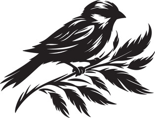 Bird picture in white background