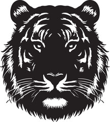 Tiger picture in white background