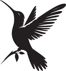 Bird picture in white background