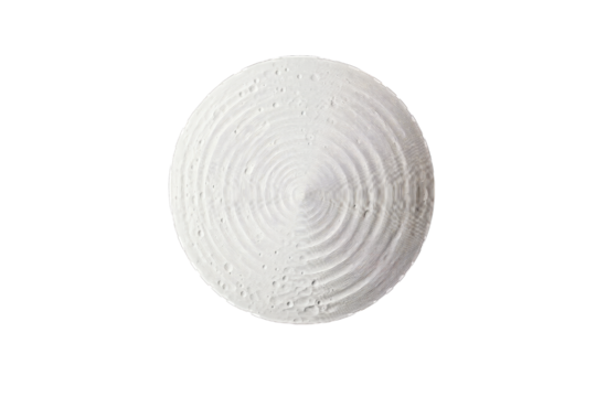A round, textured white cheese with concentric patterns.