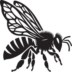 Bee  picture in white background