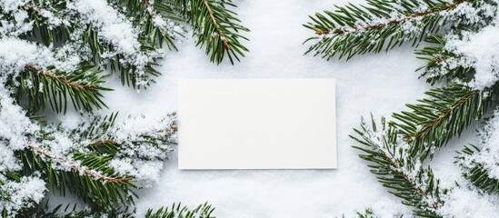 Snow-covered pine branches framing a blank white card on a snowy background evoking a serene winter holiday vibe for New Year decorations.