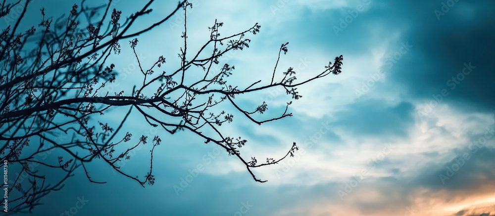 Aufkleber silhouetted branches of deciduous trees against a cloudy evening sky with warm blue tones and soft l