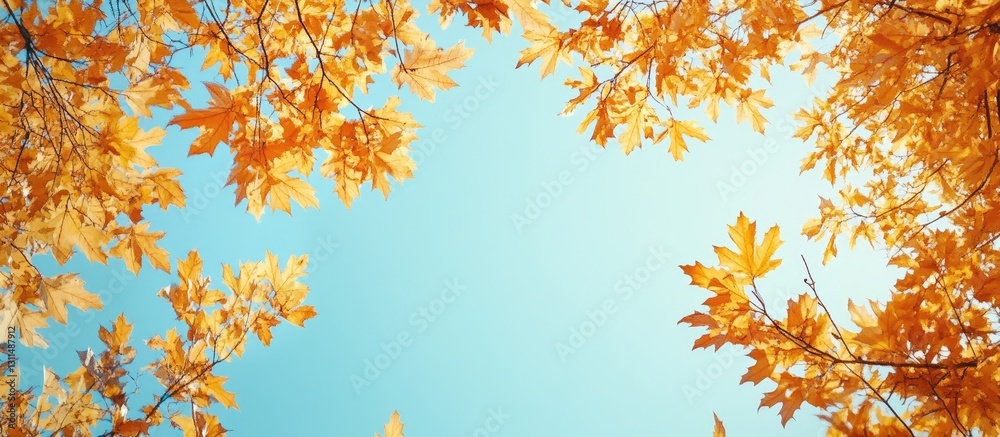 Poster autumn maple tree crowns in vibrant orange hues framed against a soft blue sky creating a serene nat