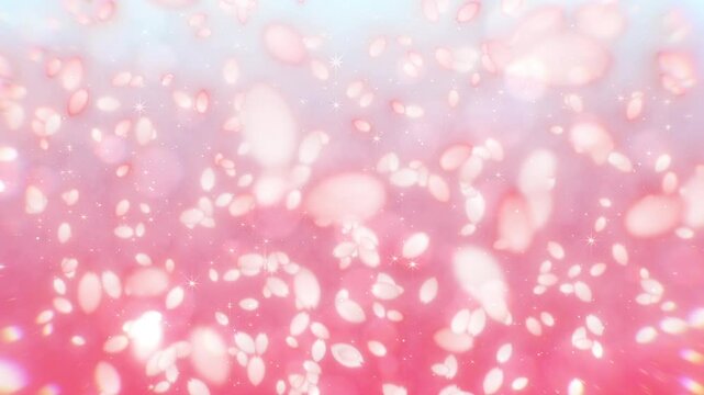 桜の花びらが舞うループCG