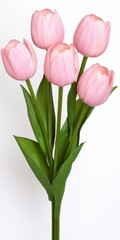 Naklejka premium Elegant vase filled with gorgeous pink tulips gracefully displayed on a bright white background for decoration