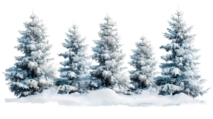 winter christmas trees landscape in watercolor style isolated on white or transparent png