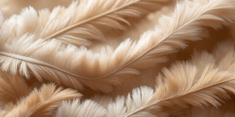 Fototapeta premium Interwoven feathers in shades of taupe, sand beige, and soft ivory drift weightlessly across a gradient transitioning from warm caramel