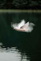 Graceful bird soaring above tranquil water, creating ripples in