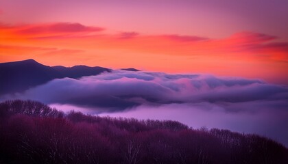 Fototapeta premium Abstract background. Vibrant Coral Plum Fog BG. Mysterious dramatic background. Coral to dark plum transition, soft foggy overlay. Intriguing & moody backdrop.