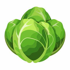 Brussels sprouts icon on white background