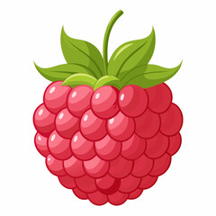Raspberry illustration with green leaves on a white background