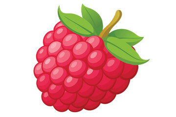 A single raspberry displays its rich red color and natural leaves against a clean white backdrop, Raspberry . isolated white background
