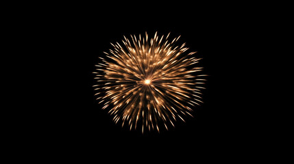 Obraz premium Golden fireworks burst against night sky exploding with bright sparks and radiating lines