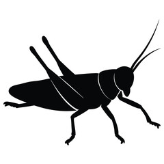 Grasshopper silhouette vector on a white background