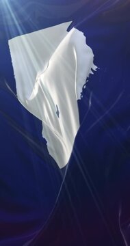 Turner county flag, Georgia, United States of America. Loop. 4K Vertical
