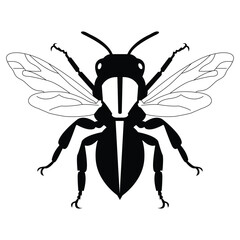   bee silhouette of a queen bee illustration on a white background