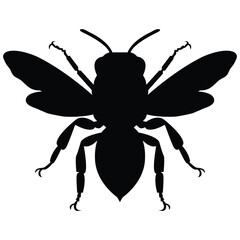   bee silhouette of a queen bee illustration on a white background