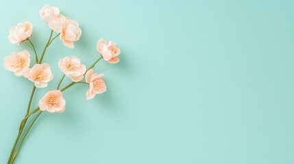 Peach Blossom Serenity Still