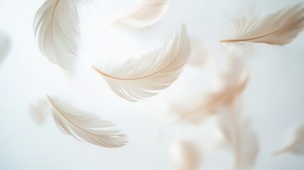 Naklejka premium Floating feathers create a delicate and dreamlike atmosphere against a soft white background in high key lighting