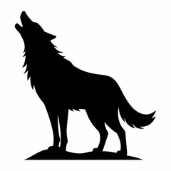 wolf vector illustration
