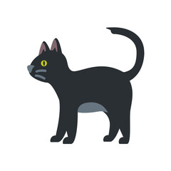 Black Cat