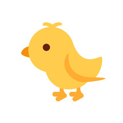 Baby Chick