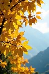 Tree branches with yellowing leaves in the foreground, tree, landscape, branches