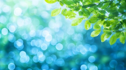 Fototapeta premium Fresh Perspective Lush Greeen Foliage and Abstract Blue Blur, Abstract Bokeh Background, Warm Light
