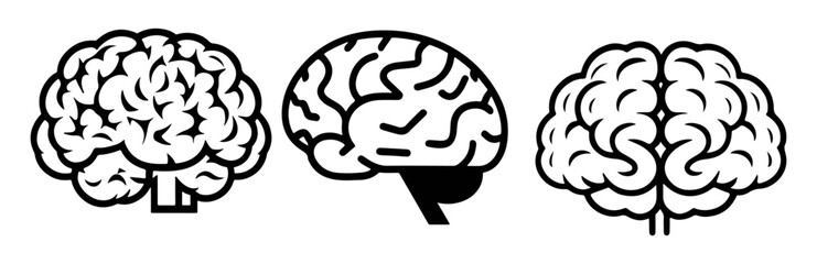 black and white brain shapes cartoon silhouettes in vector illustrations, brain from front side and another style vector illustration