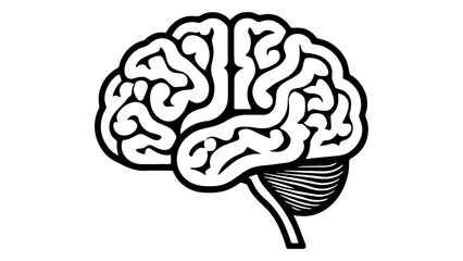 human brain vector illustration outline shape