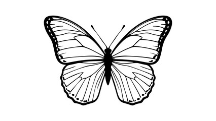 black and white butterfly silhouette on white background